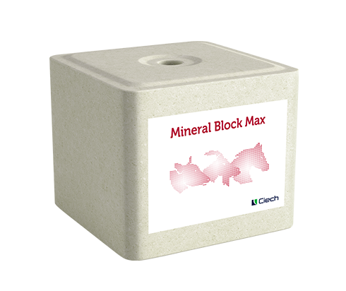 Lizawka Mineral Block Max_1.png