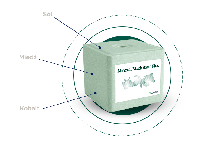 Lizawka Mineral Block Basic Plus_1.png