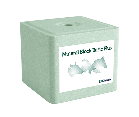 Lizawka Mineral Block Basic Plus.png