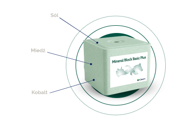 Lizawka solna MINERAL BLOCK BASIC PLUS 10 kg, półpaleta 240 kg