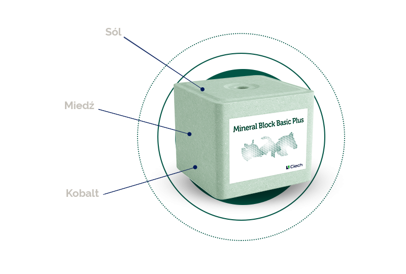 Lizawka solna MINERAL BLOCK BASIC PLUS 10 kg, półpaleta 480 kg