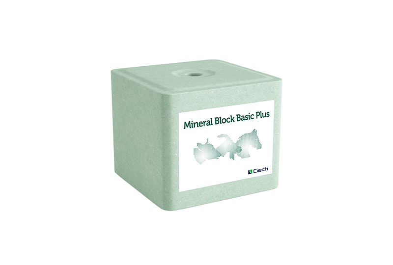 Lizawka Mineral Block Basic Plus.png