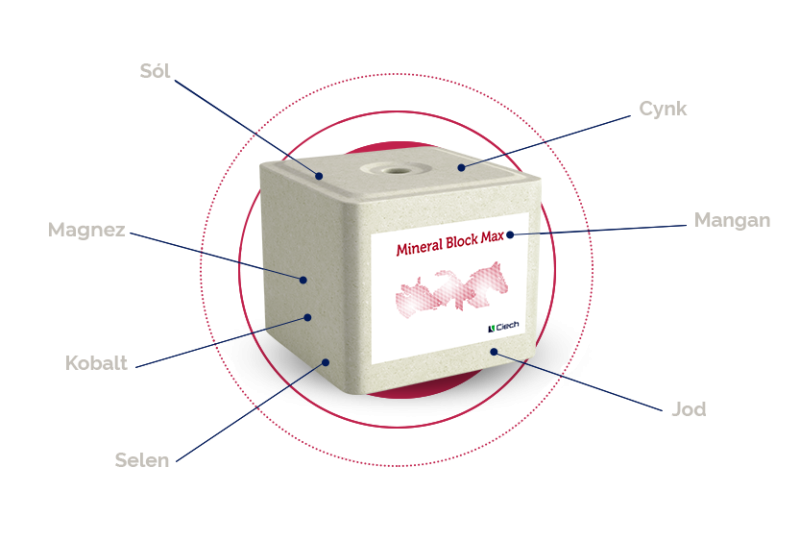 Lizawka solna MINERAL BLOCK MAX 10 kg, paleta 720 kg