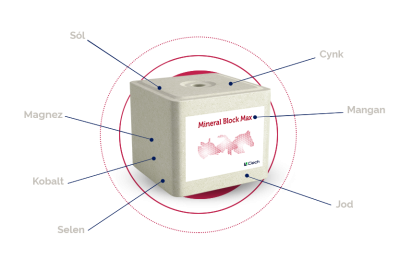 Lizawka solna MINERAL BLOCK MAX 10 kg, paleta 720 kg