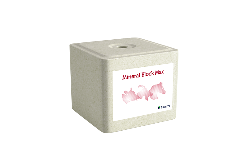 Lizawka Mineral Block Max_1.png